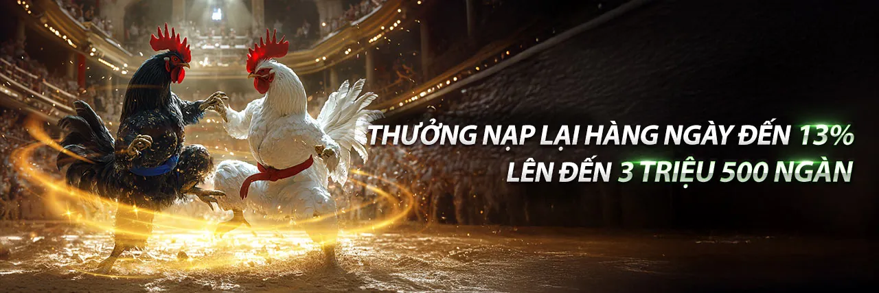 Đấu trường đá gà sôi động tại 89bet1 game